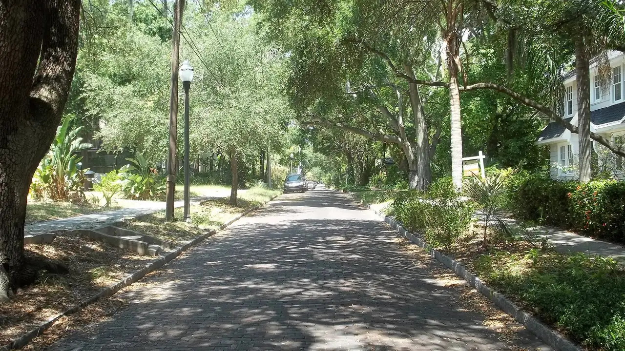 Lawn leveling in St. Petersburg, FL